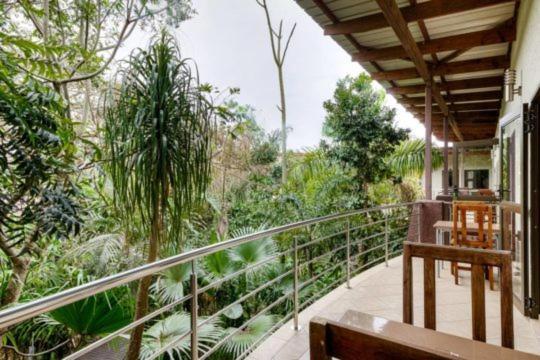 Forest Lodge Saint Lucia Estuary Dış mekan fotoğraf