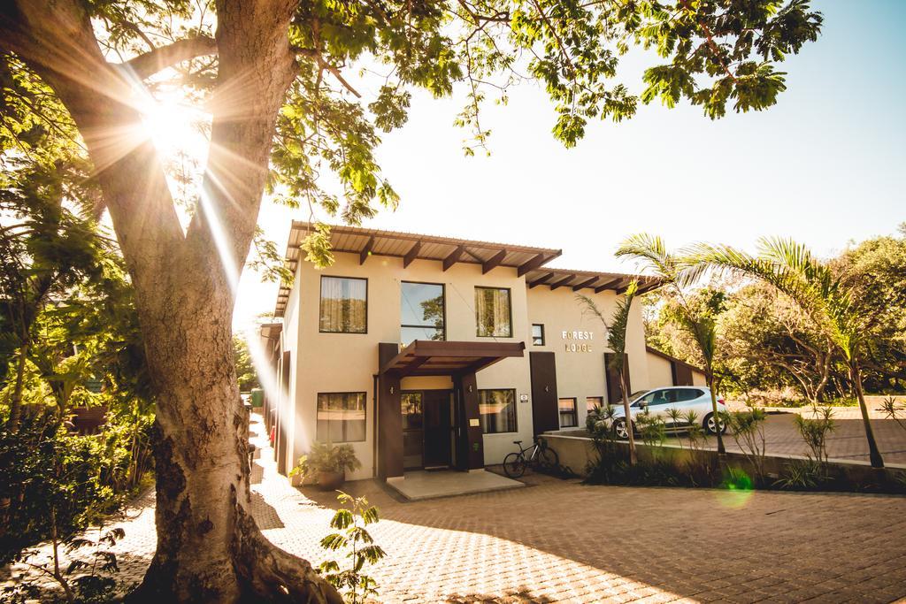 Forest Lodge Saint Lucia Estuary Dış mekan fotoğraf