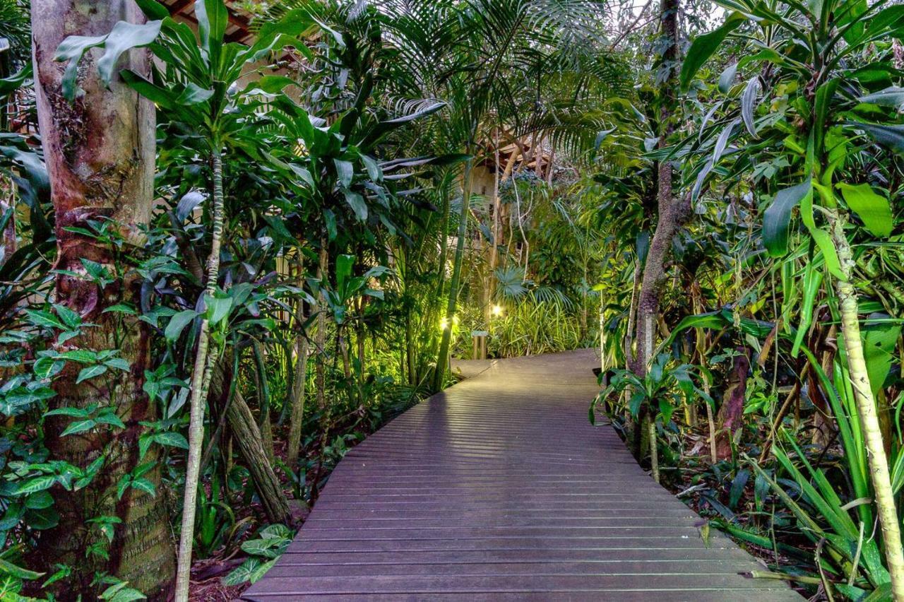 Forest Lodge Saint Lucia Estuary Dış mekan fotoğraf