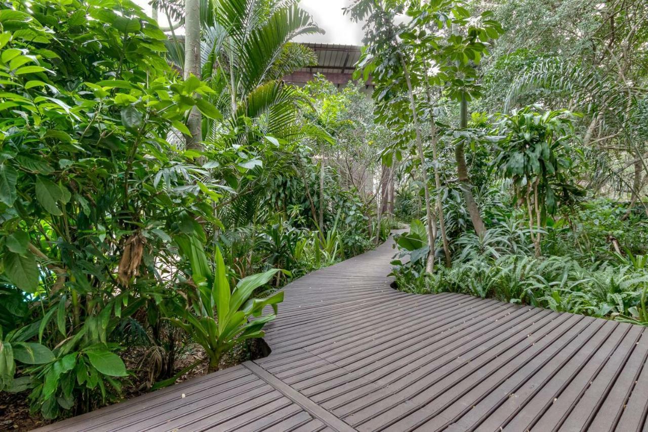 Forest Lodge Saint Lucia Estuary Dış mekan fotoğraf